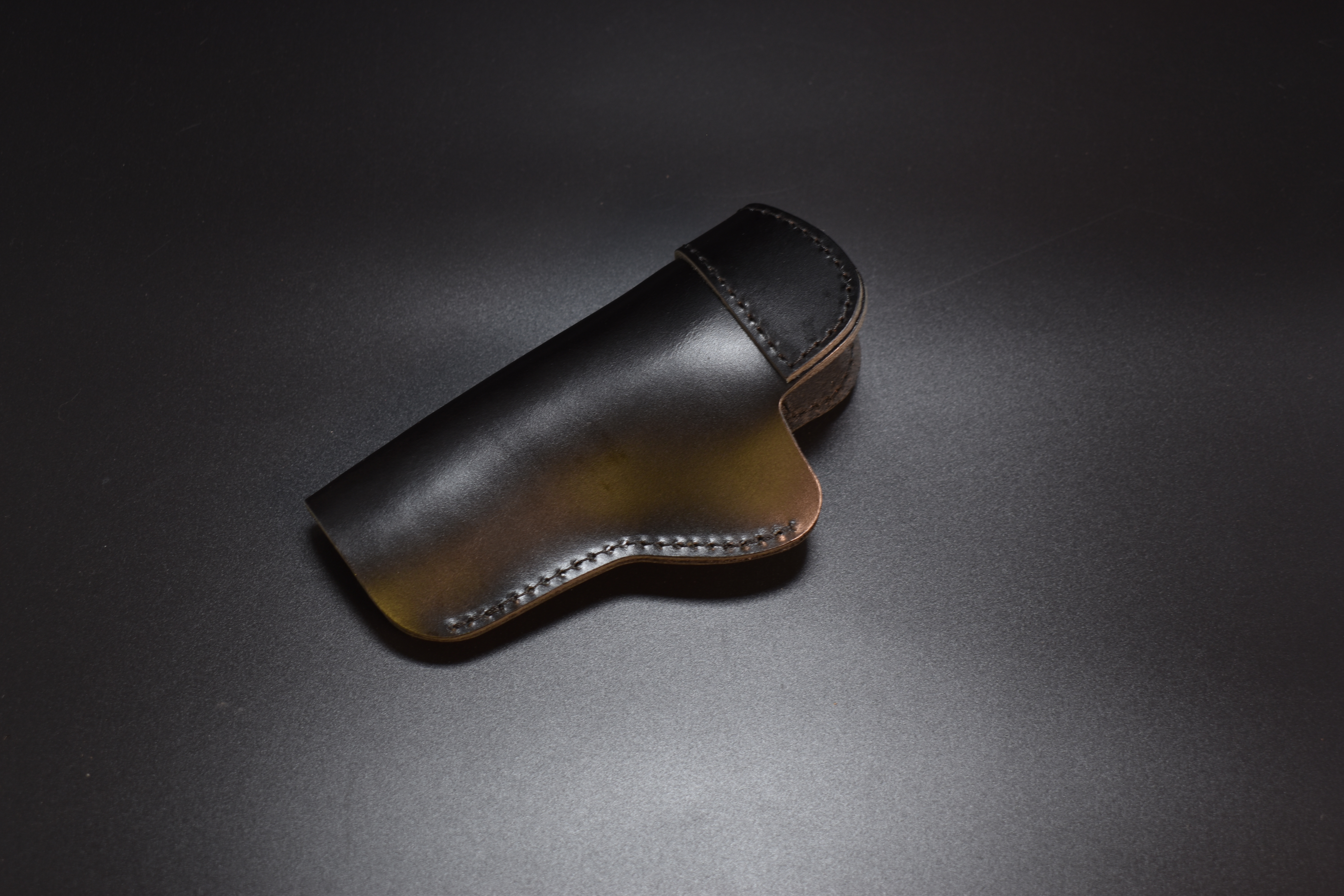 Concealed Carry Holster